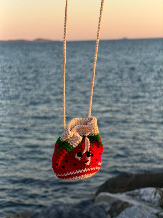 Little Pouch - watermelon design